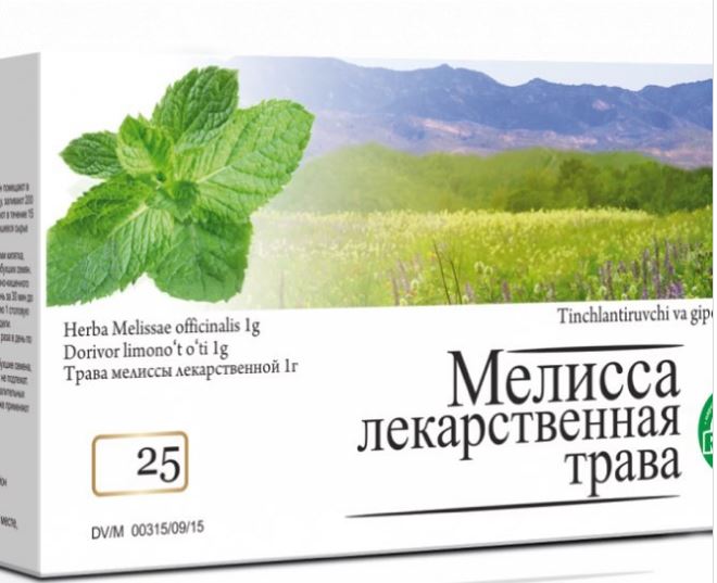 Жую листья мелиссы в приказном порядке: женская трава не позволит рано постареть. Неприхотливая садовая трава, настоящая зеленая аптечка и сокровищница витаминов.