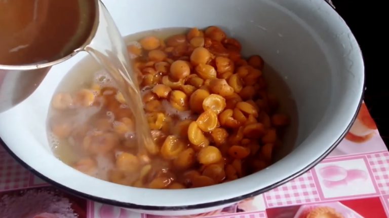 Варенье из абрикосов на зиму: 5 рецептов без косточек и дольками