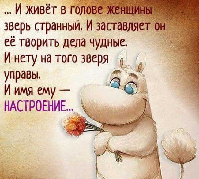 Женские дела: смешные фото с комментариями Женские дела: смешные фото с комментариями