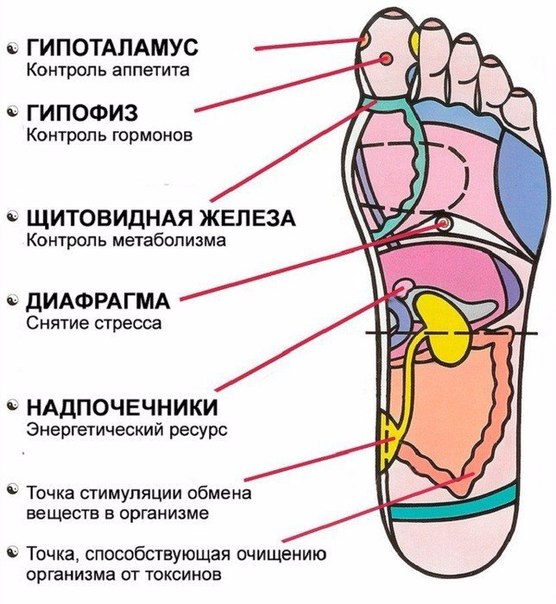 7 активных точек на стопе вернут Вас к жизни за пару минут!