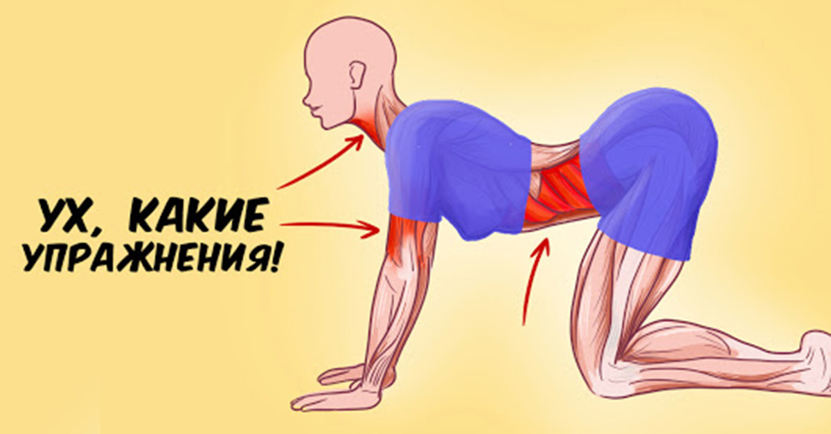 Набор упражнений, которые способны творить реальные чудеса с организмом женщины Набор упражнений, которые способны творить реальные чудеса с организмом женщины