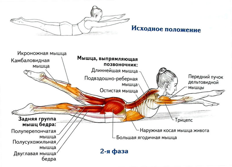 Омолаживающие 8 упражнений для укрепления спины