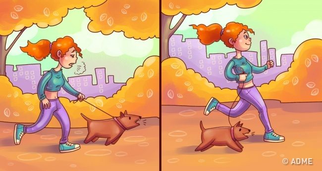 Что происходят с телом после отказа от мяса