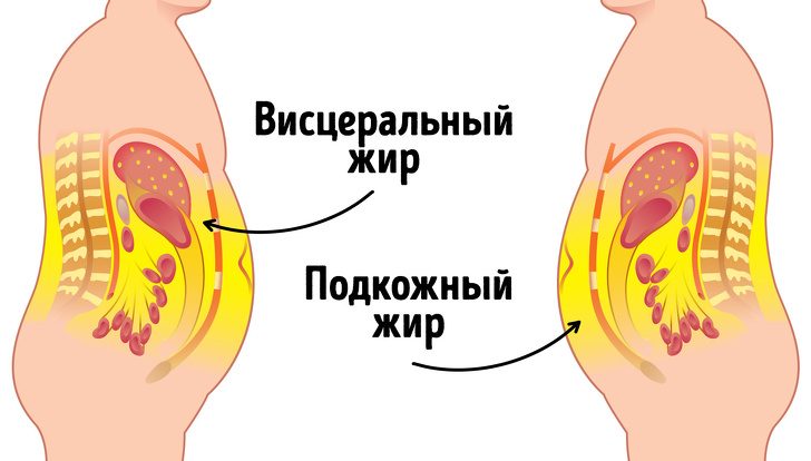 Сколько жира нужно сохранить в организме, чтобы и выглядеть красиво, и проблем со здоровьем не заработать