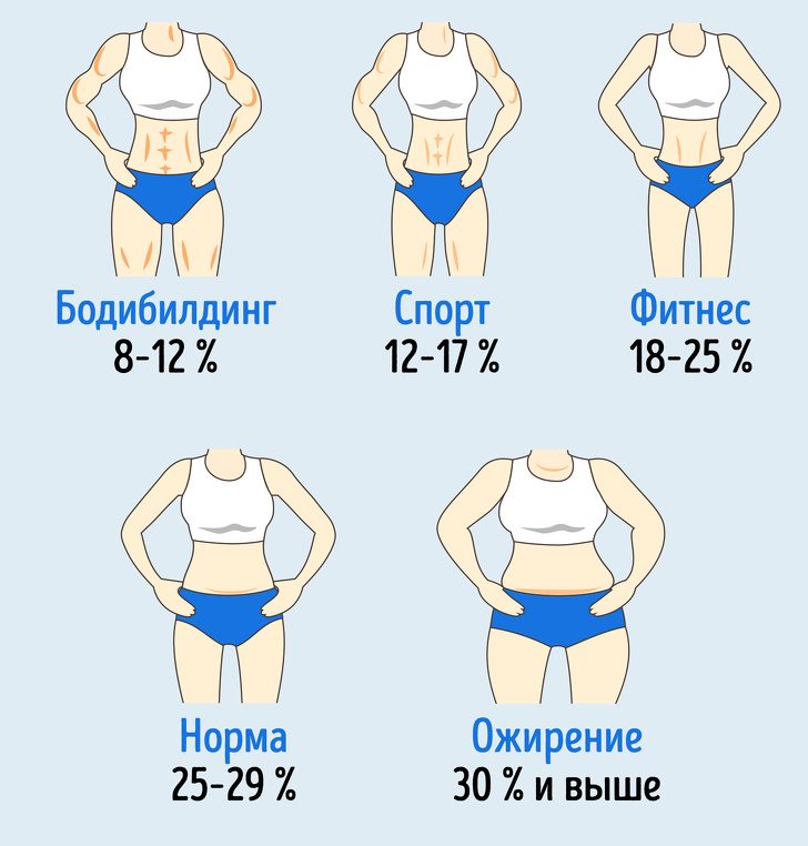 Сколько жира нужно сохранить в организме, чтобы и выглядеть красиво, и проблем со здоровьем не заработать