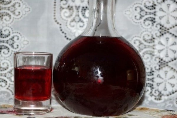 Как самому приготовить вкуснейшую смородиновую наливку