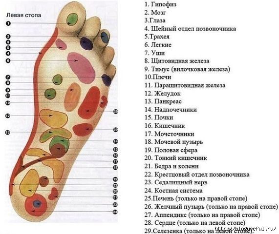Как делать массаж стоп для улучшения здоровья?
