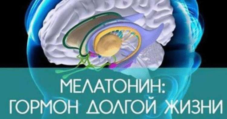 Черновик