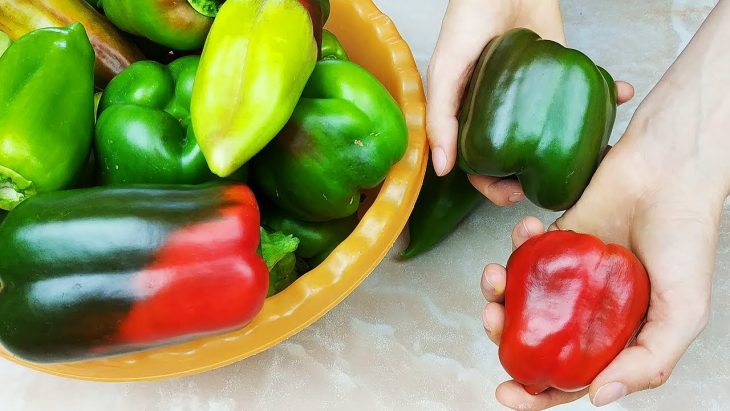 Перец зимой больше не покупаю! 5 Супер способов хранения болгарского перца круглый год Перец зимой больше не покупаю! 5 Супер способов хранения болгарского перца круглый год