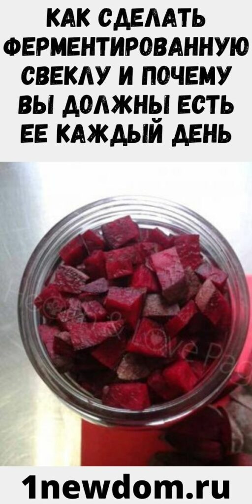 Как сделать ферментированную свеклу и почему вы должны есть ее каждый день