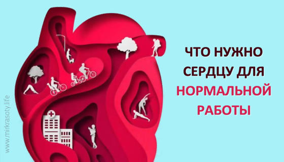 Что нужно сердцу для нормальной работы