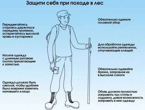 Первая помощь при укусе гадюки