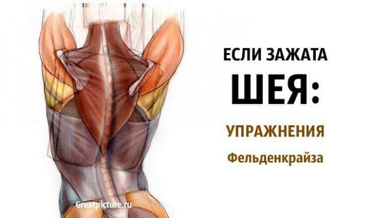 Если зажата шея: упражнения Фельденкрайза. Эффект 100%! Если зажата шея: упражнения Фельденкрайза. Эффект 100%!