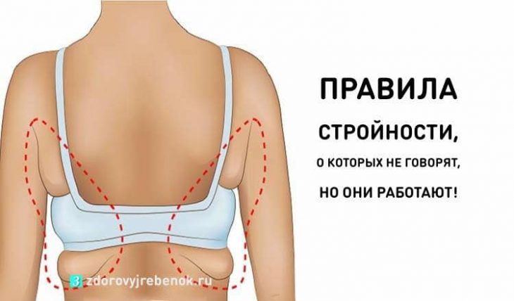 Правила стройности, о которых не говорят, но они реально работают! Правила стройности, о которых не говорят, но они реально работают!