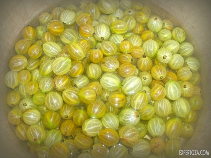 ЦАРСКОЕ ВАРЕНЬЕ ИЗ КРЫЖОВНИКА