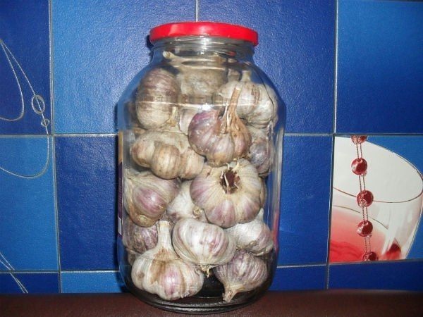 Способы хранения чеснока: 10 проверенных вариантов Способы хранения чеснока: 10 проверенных вариантов
