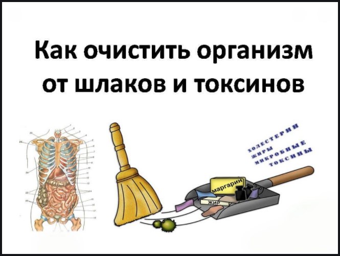 Чистка организма от шлаков и токсинов за 21 день
