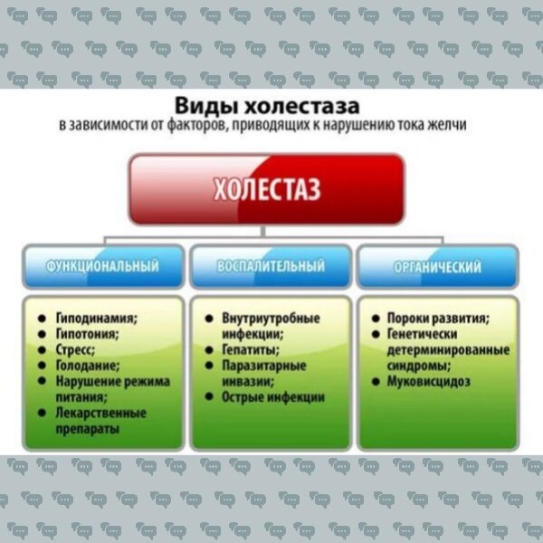 Нарушение выделения желчи:в чем опасность и как вовремя распознать?