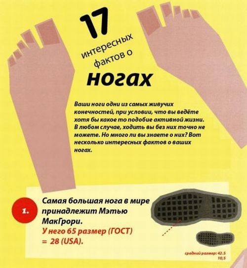 Все самое интересное о ваших ногах