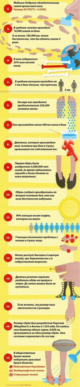 Все самое интересное о ваших ногах
