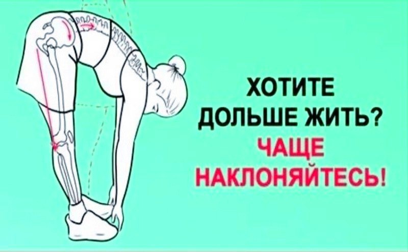 Хочешь жить дольше? Чаще наклоняйся!