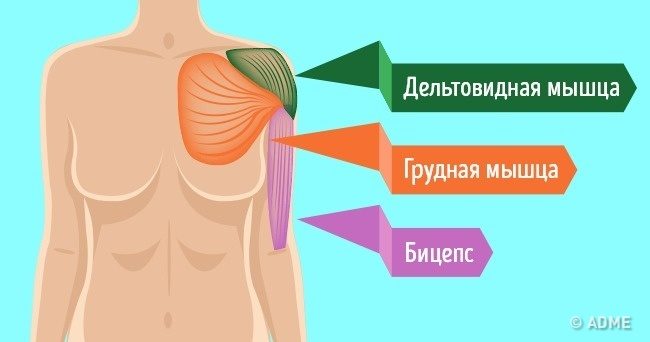 Почему нужно делать планку каждый день