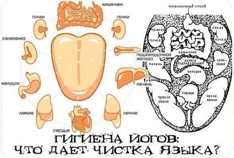 Почему чистить язык полезно?