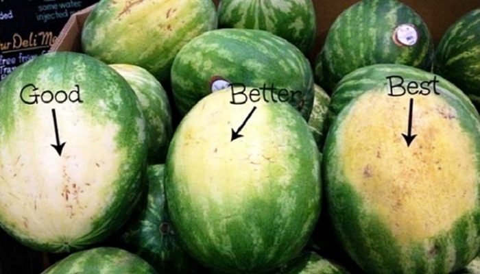 Как выбрать самый спелый и вкусный арбуз в мире: 7 правил, которые нужно помнить каждому арбузофилу