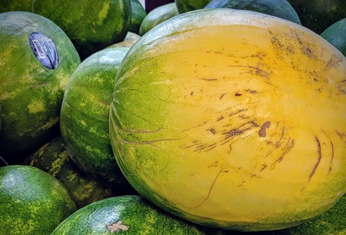 Как выбрать самый спелый и вкусный арбуз в мире: 7 правил, которые нужно помнить каждому арбузофилу