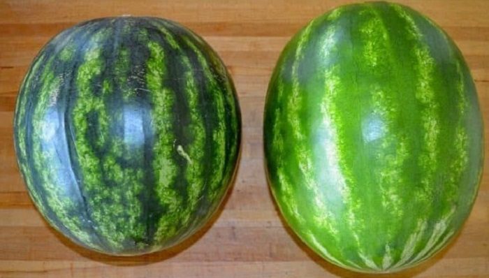 Как выбрать самый спелый и вкусный арбуз в мире: 7 правил, которые нужно помнить каждому арбузофилу