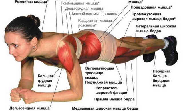 Упражнение 