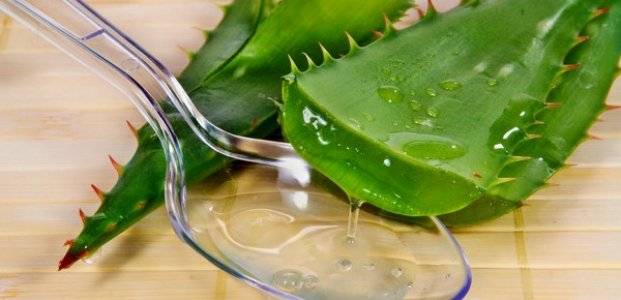 Сок алоэ – применение и польза для организма