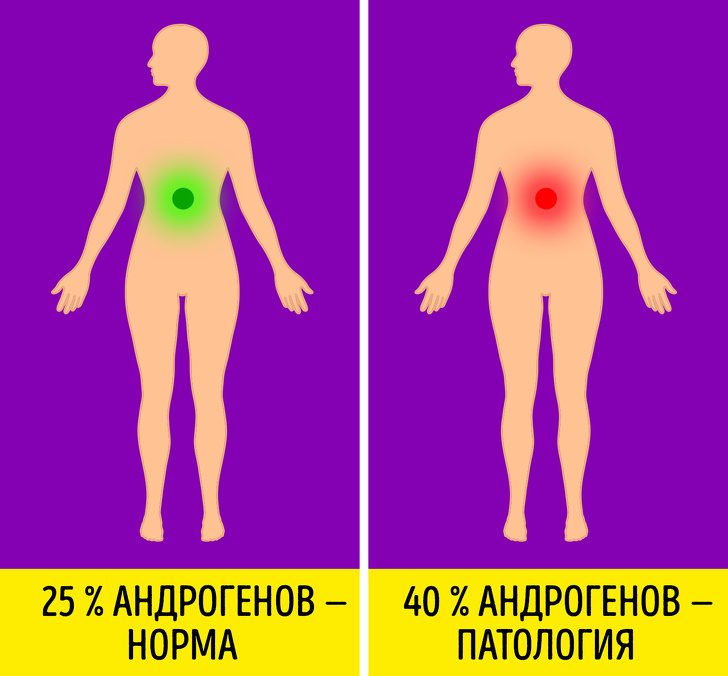 Как гормоны влияют на организм на самом деле