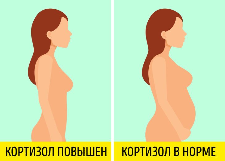 Как гормоны влияют на организм на самом деле