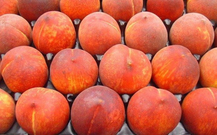 Продукты, которые можно есть на ночь