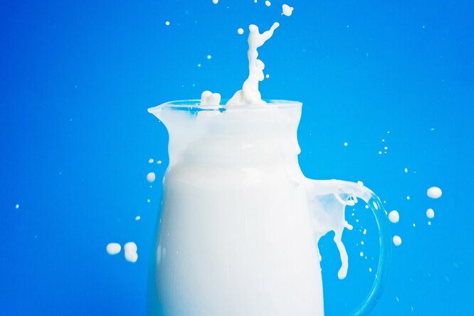 Продукты, в которых больше всего кальция