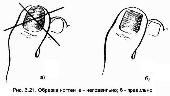 «Золотые» правила безупречного педикюра в домашних условиях! Лучше салонной процедуры!