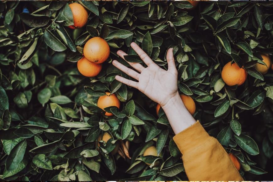 12 продуктов, которые заставят ваше сердце работать как часы