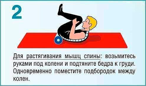 10 полезных упражнений при болях в спине