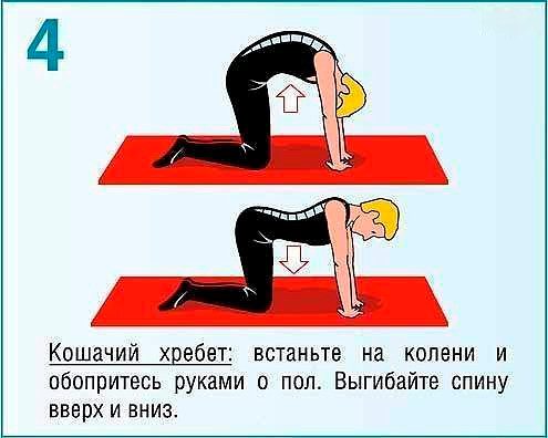 10 полезных упражнений при болях в спине