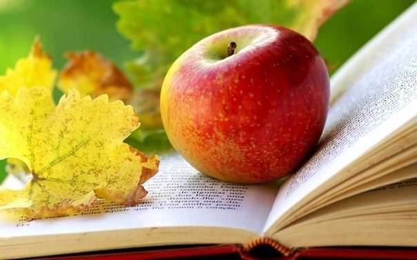 Как и когда нужно есть фрукты и ягоды?