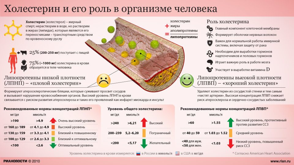 Холестерин: норма у женщин разного возраста