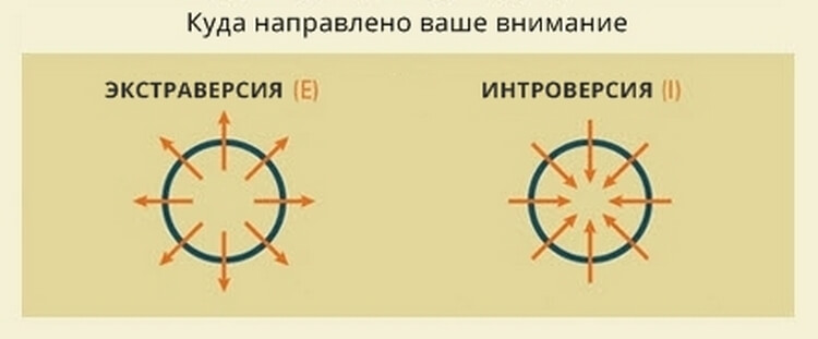 Ответьте честно на 4 вопроса и узнайте, к какому из 16-ти типов личностей вы относитесь
