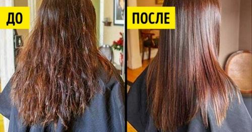 Быстро привести волосы в порядок в домашних условиях. Как быстро привести волосы в порядок