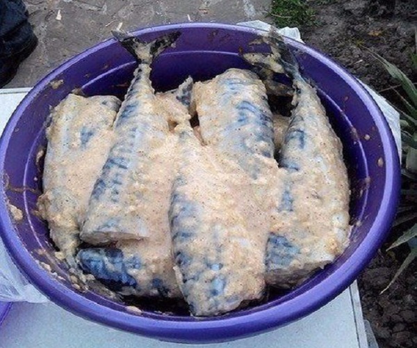 Свекровь замариновала скумбрию по особому рецепту… Такой сочной рыбы я еще не пробовала! Оказывается, весь секрет в этом…