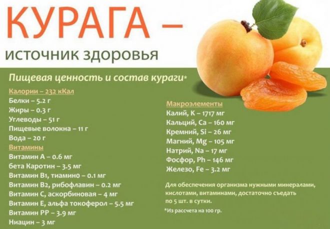 11 полезных свойств кураги, о которых многие и не догадываются