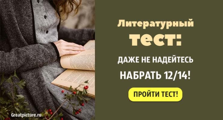 Литературный тест. Тест на писательскую личность. Тесты которые читают мысли. Литературный перевод картинки.