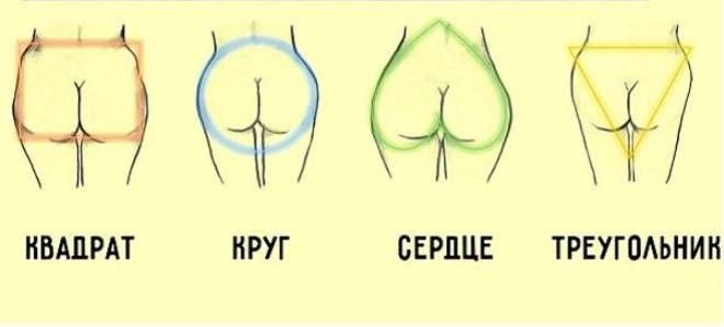 О чем говорит форма женских ягодиц? О чем говорит форма женских ягодиц?